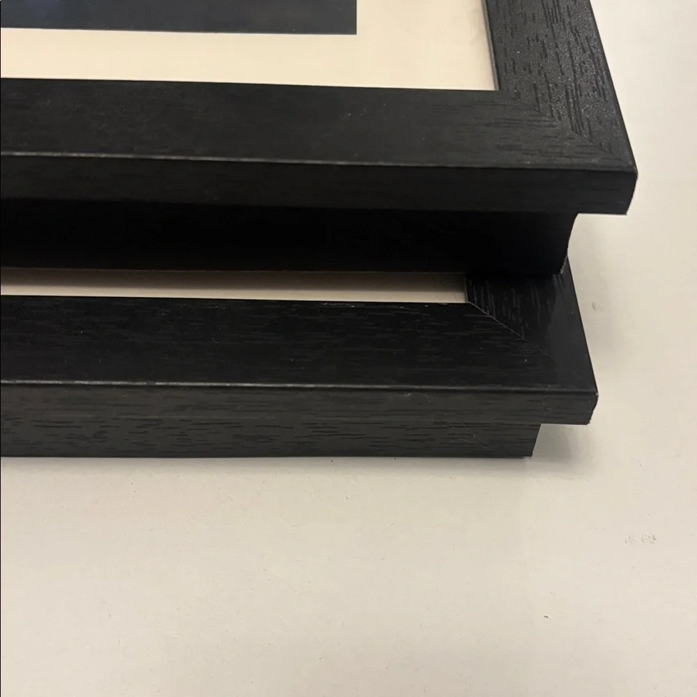 Elegant Black and White Picture Frame Set